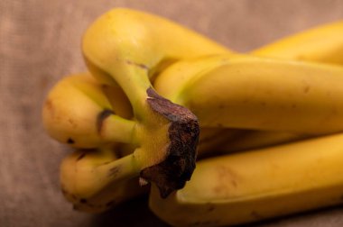 Olgun sarı muzlar yakın plan. Seçici odaklanma. Sonbahar hasadı