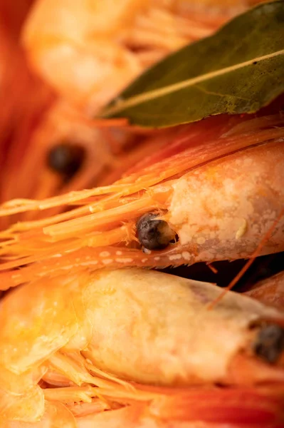 Camarones Del Atlántico Cocidos Con Pimienta Jamaica Hoja Laurel Cerca —  Fotos de Stock