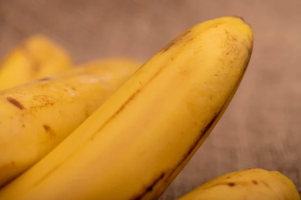 Спелые Желтые Бананы Крупным Планом Выборочный Фокус Осенний Сбор — стоковое фото