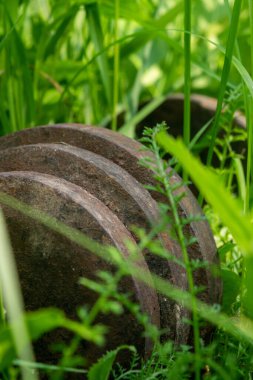 Yeşil çimlerde eski klasik dambıllar, yakın plan, seçici odaklanma.
