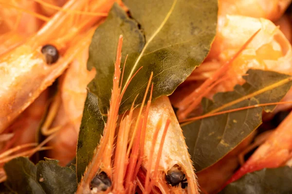 Camarones Del Atlántico Cocidos Con Pimienta Jamaica Hoja Laurel Cerca —  Fotos de Stock