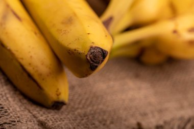 Olgun sarı muzlar yakın plan. Seçici odaklanma. Sonbahar hasadı