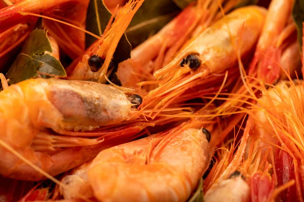 Camarones Del Atlántico Cocidos Con Pimienta Jamaica Hoja Laurel Cerca —  Fotos de Stock