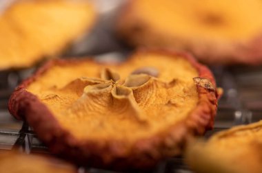 Kurutucunun ızgarasında elma cipsi, yakın çekim, seçici odaklanma