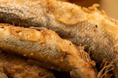 Kırmızı denizyıldızı yüzeyi dokusu yakın - seçici odak.