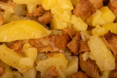 Mantarlı kızarmış patates, yakın plan, seçici odaklanma. Geleneksel köy yemeği.