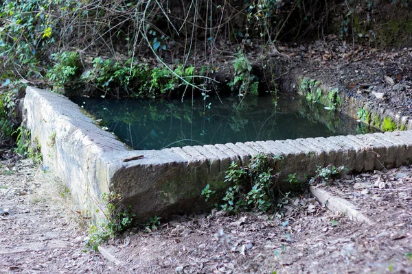貯水池が小さい 野菜園の灌漑用水 動物用飲料水 衣類用洗浄水のために春から水を収集する洗濯場 — ストック写真