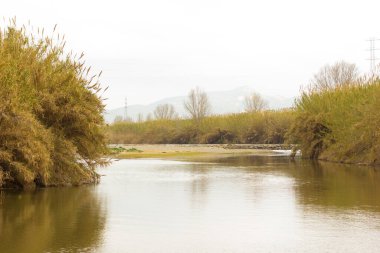 Baix Llobregat bölgesinden geçen Llobregat Nehri, Barcelona şehrine ve Akdeniz 'deki nehrin ağzına çok yakındır..