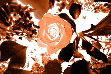 Afişler ve web sayfaları için dokulu arka planlar, oyunlar vs. Renkli arka planlar, yinelenen çiçek temalı.