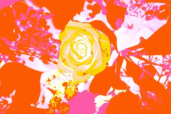 Afişler ve web sayfaları için dokulu arka planlar, oyunlar vs. Renkli arka planlar, yinelenen çiçek temalı.