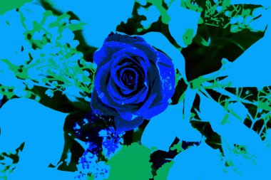 Afişler ve web sayfaları için dokulu arka planlar, oyunlar vs. Renkli arka planlar, yinelenen çiçek temalı.