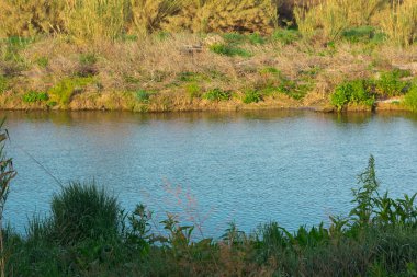 Baix Llobregat bölgesinden geçen Llobregat Nehri Akdeniz 'de ve Barselona şehrinde ağzına çok yakın..
