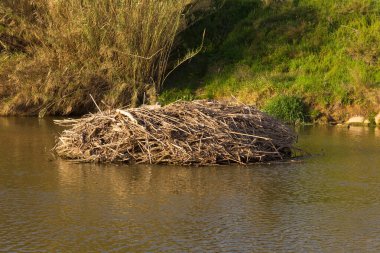 Baix Llobregat bölgesinden geçen Llobregat Nehri Akdeniz 'de ve Barselona şehrinde ağzına çok yakın..