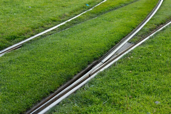 都市軌道草の上のレール 電気軌道が走る金属製のトラック 公共交通機関が通る鉄道 — ストック写真