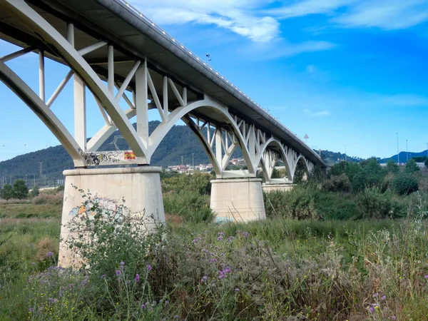 桥与支柱 一个土木工程的工作 必须支持汽车和卡车的重量过河 — 图库照片