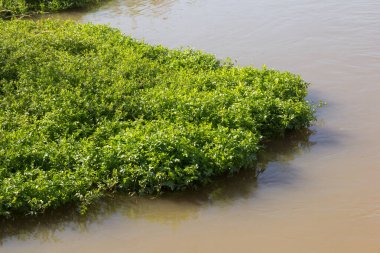Baix Llobregat bölgesinden geçen Llobregat Nehri Akdeniz 'de ve Barselona şehrinde ağzına çok yakın..