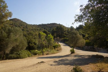 Dağlarda ve nehir kenarında yollar ve patikalar; bisiklet, yürüyüş, koşu ya da yürüyüş için patikalar.
