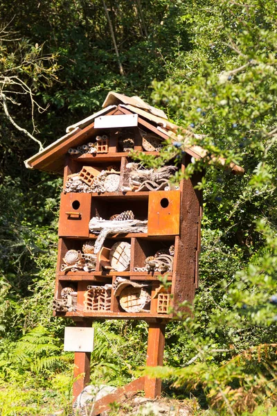 Milieubehoud Insect Hotel Continuïteit Van Bepaalde Inheemse Soorten Behouden — Stockfoto