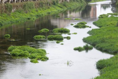 Nehir Padron 'dan geçerken Santiago de Compostela' ya giden hacılar için bir rota..