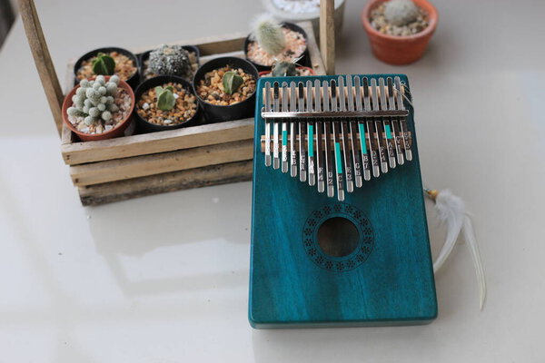 Kalimba или mbira является африканским музыкальным инструментом. Традиционный небольшой Kalimba из деревянной доски с металлом, играть на руках и щипать пальцы. Инструмент в номере