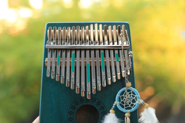 Kalimba или mbira является африканским музыкальным инструментом. Традиционный небольшой Kalimba из деревянной доски с металлом, играть на руках и щипать пальцы. Инструмент в номере