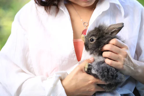 Adorabile Giovane Coniglio Donna Siedono Insieme All Aperto Proprietario Cura — Foto Stock