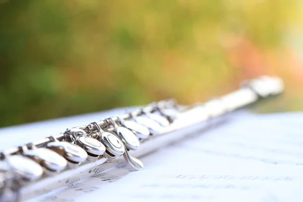 Fluit Blaasinstrument Klassiek Orkest Zilveren Moderne Fluit Witte Bladmuzieknoot Voor — Stockfoto