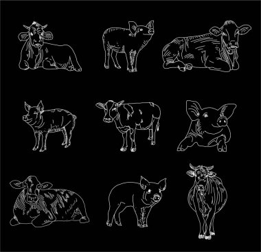 Kasap dükkanı tahtasından et kesimi. Katliam İnek Gıda Tebeşir Mağazası. Retro Menü Restoran posteri. Vektör.