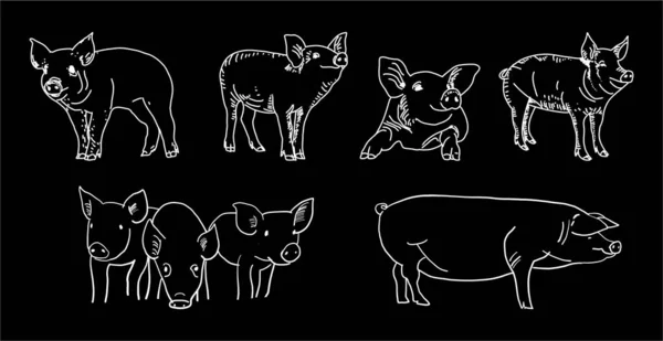 Slaktarens Svarta Tavla Skär Kött Butchery Cow Food Chalk Board — Stock vektor