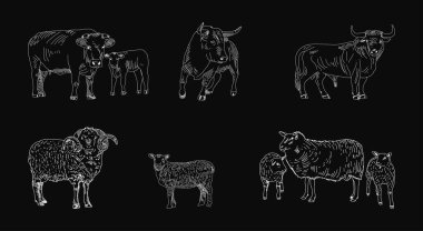 Kasap dükkanı tahtasından et kesimi, kuzu eti.