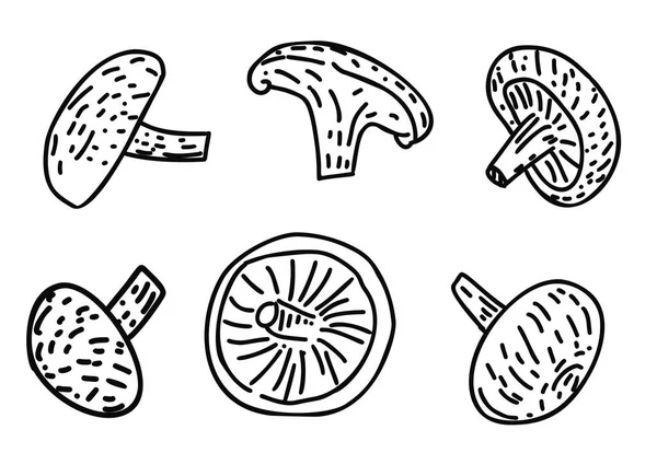 Produits Aux Champignons Cadre Vue Dessus Illustration Dessinée Main Modèle — Image vectorielle