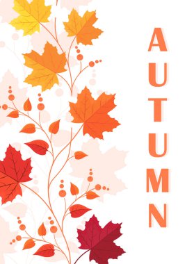 Parlak sonbahar akçaağaç yaprakları. İndirim afişi ya da broşür almak için yapraklı sonbahar kartı. Beyaz bölgede metnin için yer var. Vektör