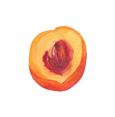 Suluboya turuncu şeftali. İzole edilmiş beyaz arka planda sulu meyve. Lezzetli ve sağlıklı yemekler için içerikli. Menüler, kartlar, sosyal ağlar, baskılar, ambalajlar, seramik, tarifler, dekorasyon için tasarım..