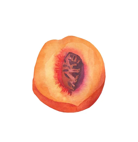 Acuarela Naranja Melocotón Fruta Jugosa Sobre Fondo Blanco Aislado Ingrediente —  Fotos de Stock