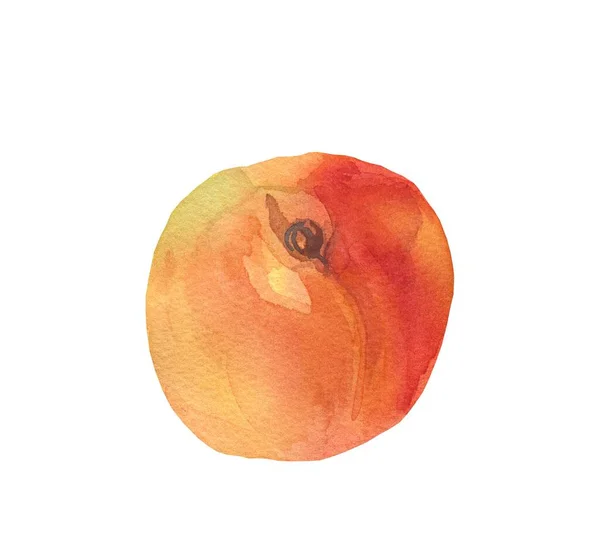 Pêssego Laranja Aquarela Fruta Suculenta Fundo Isolado Branco Ingrediente Para — Fotografia de Stock