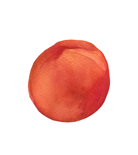 Watercolor Orange Peach Juicy Fruit White Isolated Background Ingredient Tasty — Stock Photo, Image