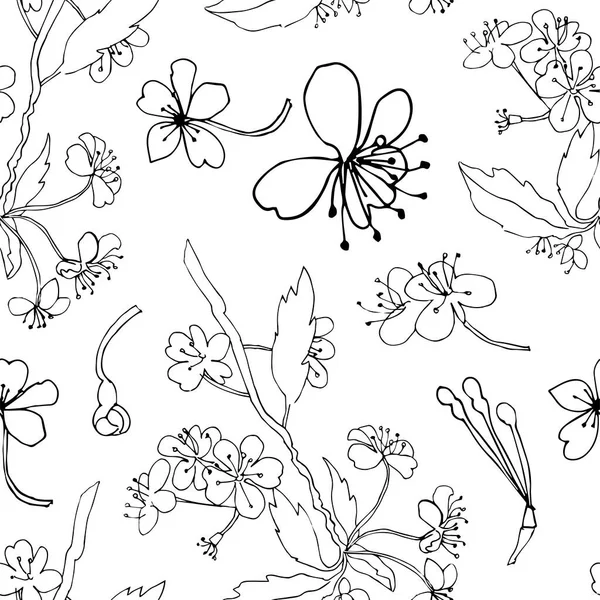 Siyah çizgili bahar kirazlı vektör deseni. Botanik, beyaz arkaplanlı çiçek deseni. Sosyal ağlar, davetiyeler, kartlar, ambalajlar, tekstil, web, duvar kağıtları için tasarım..