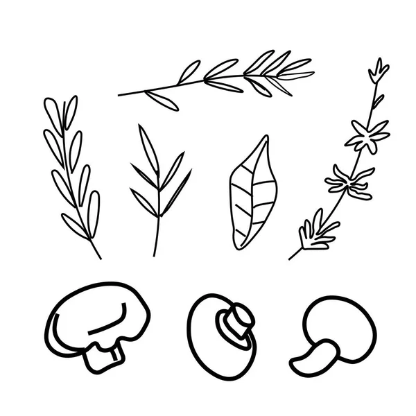 Vector Set Illustrations Champignons Herbs Soup Doodle Style Collection Food — стоковый вектор