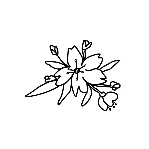 Flor Asiática Vectorial Estilo Doodle Ilustración Botánica Primavera Para Año — Archivo Imágenes Vectoriales