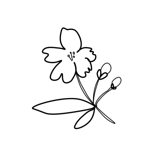 Fleurs Asiatiques Vectorielles Style Doodle Illustration Botanique Printemps Pour Nouvel — Image vectorielle