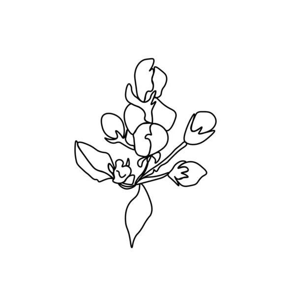 Vektor Asiatische Blume Doodle Stil Frühling Botanische Illustration Für Chinesische — Stockvektor