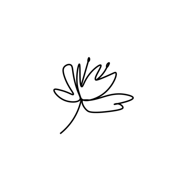 Flor Asiática Vectorial Estilo Doodle Ilustración Botánica Primavera Para Año — Vector de stock
