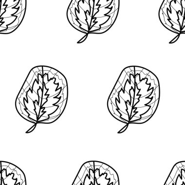 Calathea 'dan kusursuz basit vektör deseni. Tropikal yaprak siyah çizgileri olan soyut baskı el çizimi. Sosyal medya, tekstil, ambalaj, ambalaj kağıdı, web tasarımı. 