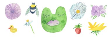 Mor kanatlı yeşil kurbağa seti, orman bitkileri. Gökkuşağı, mantar, unutma beni, dut, yıldız, nilüferler beyaz izole arkaplana boyanmış muhteşem amfibi koleksiyonu..
