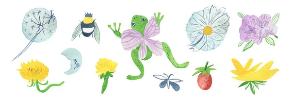 水彩斑斓的绿色青蛙 有紫色的翅膀 森林植物 迷人的两栖动物群 有彩虹 健忘的小舟 白色孤立的背景上的百合花 — 图库照片