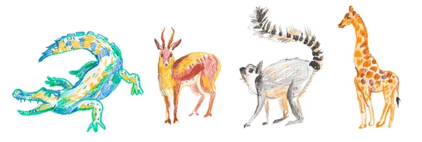 Timsah Zürafa Lemur Balmumu Kalemlerle Çizilmiş Ceylan Resimleri Pastel Kalemlerle — Stok fotoğraf