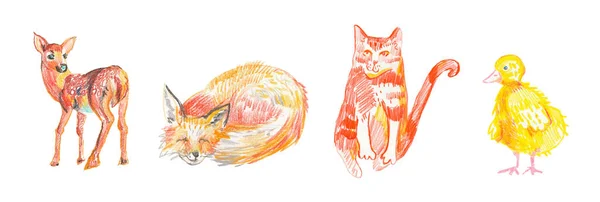 Soubor Ilustrací Liškou Kočkou Kachnou Nakreslenou Voskovými Pastelkami Klipart Zvířaty — Stock fotografie