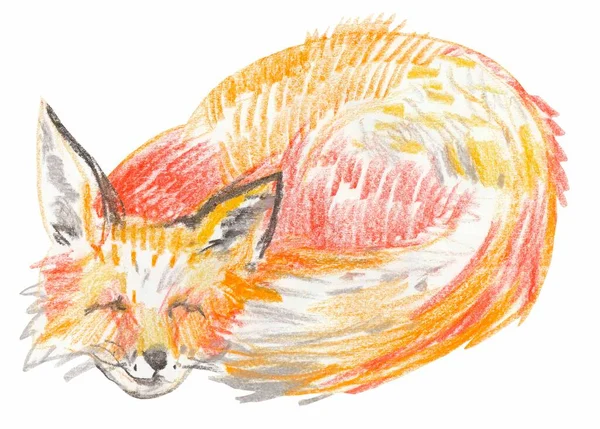 Illustration Red Fox Drawn Wax Crayons Wild Predatory Animal White — Stock Photo, Image