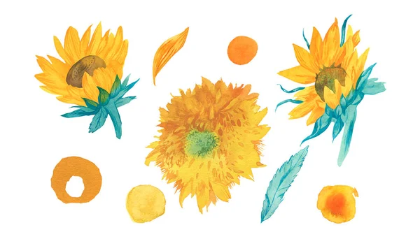 Sada Akvarelů Světlé Trendy Slunečnice Texty Letní Botanická Sbírka Květinových — Stock fotografie