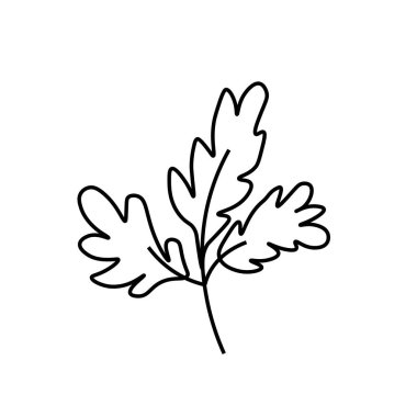 Siyah çizgili vektör minimalist bitki yaprağı. Bir Summer sade el çizimi karalama stilinde beyaz izole arkaplan üzerine. Paketleme, web siteleri, sosyal medya, posterler, kartpostallar için tasarım.